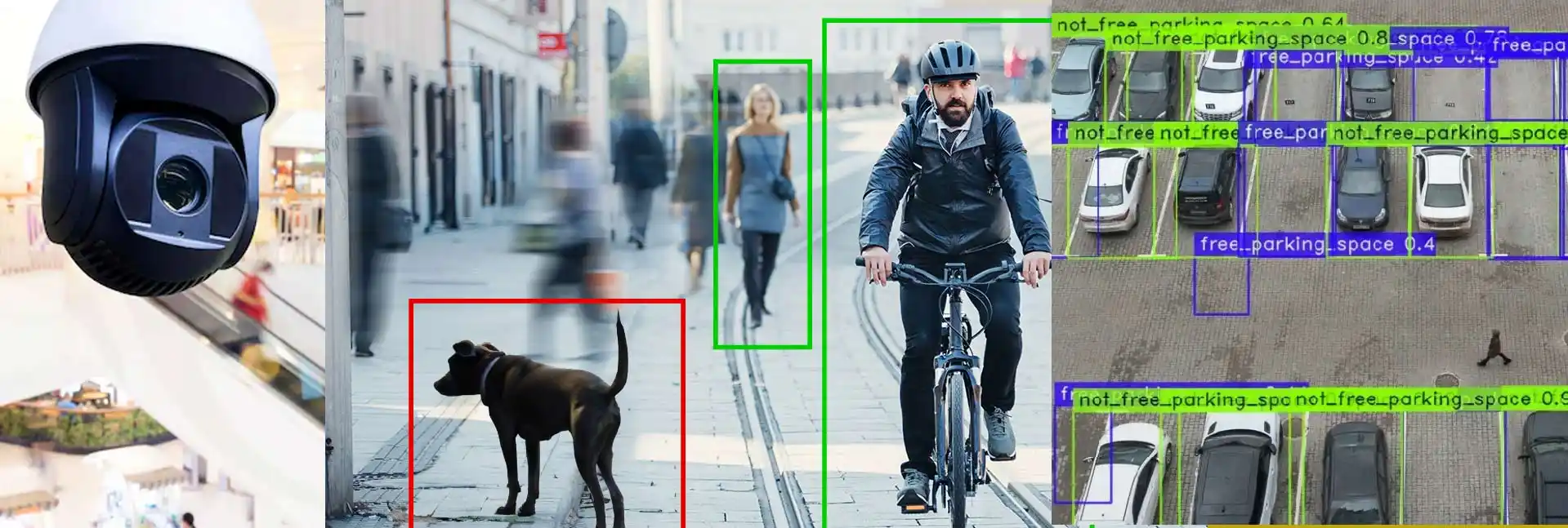 Surveillance Software